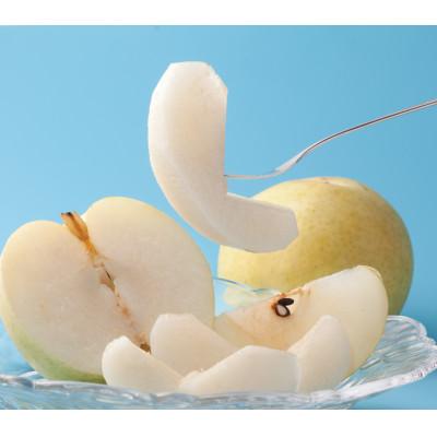 ふるさと納税 北栄町 [2027年発送分]二十世紀梨 秀5kg L〜5L 10〜18玉前後