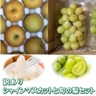 ふるさと納税 北栄町 [訳あり]シャインマスカット(350g前後)と旬の梨(5玉)セット