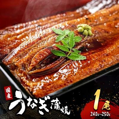 ふるさと納税 岸和田市 [2026年10月16日より順次発送]「国産うなぎ蒲焼」1尾(240g〜250g)