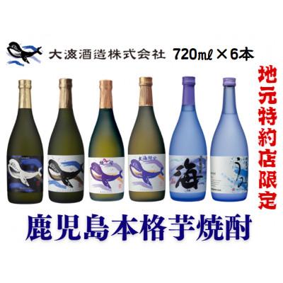 ふるさと納税 鹿屋市 [地元特約店限定]鹿児島の代表・大海酒造 本格芋焼酎をお手軽に呑み比べセット720m×6本 2859