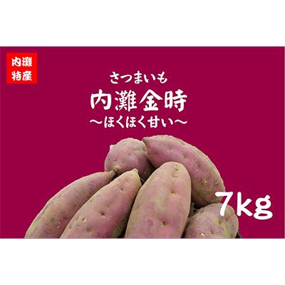 ふるさと納税 内灘町 さつまいも(内灘金時)