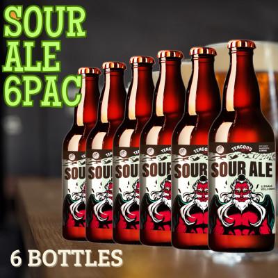 ふるさと納税 前橋市 SOUR ALE 6本セット