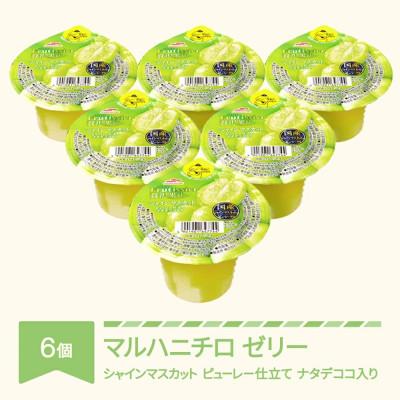 ふるさと納税 村山市 マルハニチロ フルティシエ ちょっと贅沢シリーズ シャインマスカット 6個入り×1箱セット