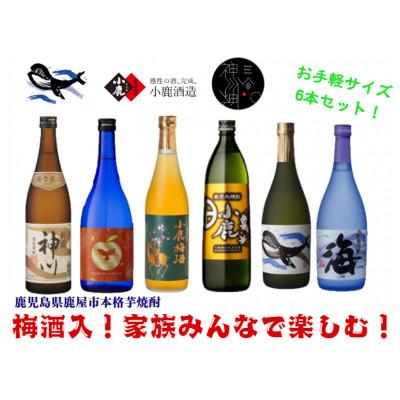 ふるさと納税 鹿屋市 [家族で飲み比べ]鹿児島本格芋焼酎・梅酒のお手軽な6本セット 大海酒造・小鹿酒造 2861