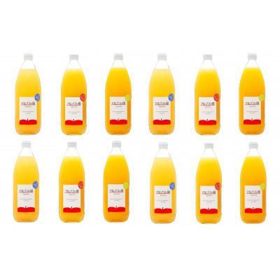 ふるさと納税 箕輪町 果汁100%ジュースで味わう信州のリンゴ 品種別に搾ったリンゴジュース 大瓶12本