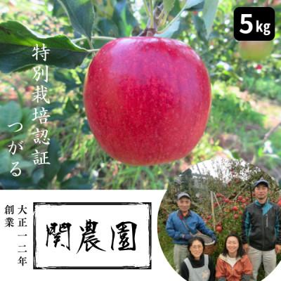 ふるさと納税 松川町 創業100年!関農園の特別栽培認証つがる 約5kg/8月末〜9月上旬発送予定 長野県