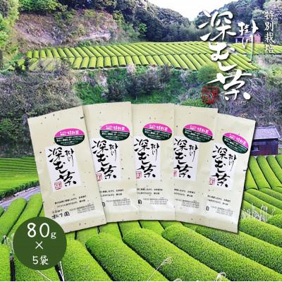 ふるさと納税 掛川市 【先行受付:令和9年度産新茶発送】特別栽培-掛川深蒸し茶　80g×5袋セット | 