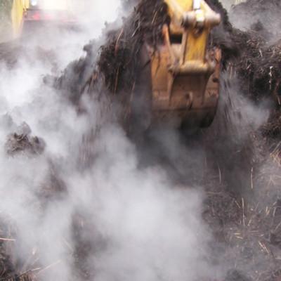 ふるさと納税 掛川市 【先行受付:令和9年度産新茶発送】特別栽培-掛川深蒸し茶　80g×5袋セット |  | 03