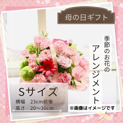 ふるさと納税 筑西市 [母の日]季節のお花のアレンジメントSサイズ〜花瓶不要!届いてそのまま飾れるフラワーアレンジ