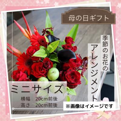ふるさと納税 筑西市 [母の日]季節のお花のアレンジメント/ミニサイズ〜花瓶不要!届いてそのまま飾れるフラワーアレンジ