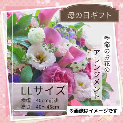 ふるさと納税 筑西市 [母の日]季節のお花のアレンジメントLLサイズ〜花瓶不要!届いてそのまま飾れるフラワーアレンジ
