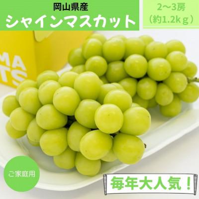 ふるさと納税 岡山市 2026年9月より順次発送 ご家庭用 岡山県産 シャインマスカット 1.2kg(2〜3房)