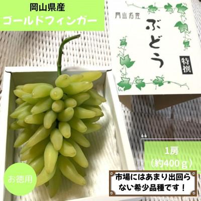 ふるさと納税 岡山市 2026年8月より順次発送 岡山県産ゴールドフィンガー 1房(約400g)