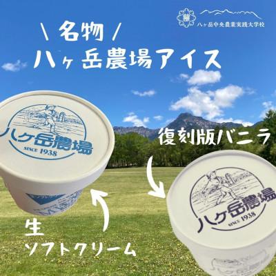ふるさと納税 茅野市 八ヶ岳農場 バニラ&amp;生ソフトクリームアイス 味比べセット 各3個・2種類(合計6個)