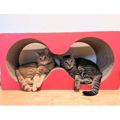 ふるさと納税 常滑市 猫の爪とぎ メガネケース[赤]