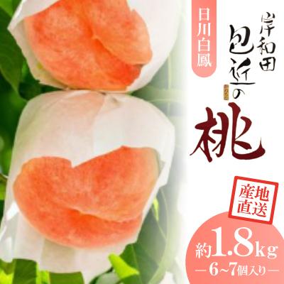 ふるさと納税 岸和田市 [日川白鳳]特選 包近の桃(かねちか)約1.8kg 産地直送