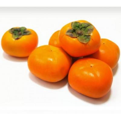 ふるさと納税 五條市 [Sunファーム]富有柿 贈答用 Lサイズ 28個入(約7.5kg)