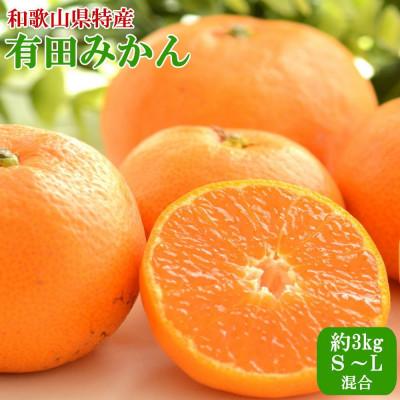 ふるさと納税 かつらぎ町 [秀品]紀州有田みかん約3kg(S〜Lサイズ混合) (かつらぎ町)