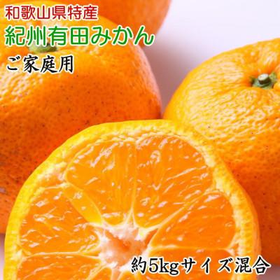 ふるさと納税 かつらぎ町 [訳ありご家庭用]和歌山有田みかん約5kg(サイズ混合)[かつらぎ町]