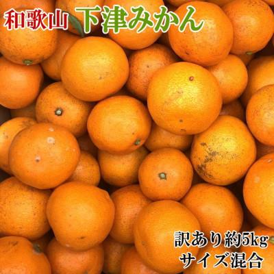 ふるさと納税 かつらぎ町 [訳ありご家庭用]和歌山下津みかん約5kg(サイズ混合)(かつらぎ町)