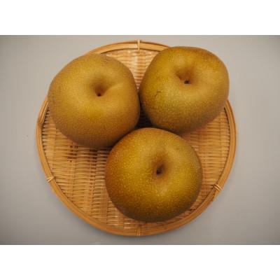 ふるさと納税 智頭町 王秋梨 ハーフ箱