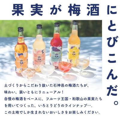 ふるさと納税 田辺市 梅酒ishigami\u0026(イシガミアンド) 桃ジンジャー 和歌山サングリア【isg038-4】_2