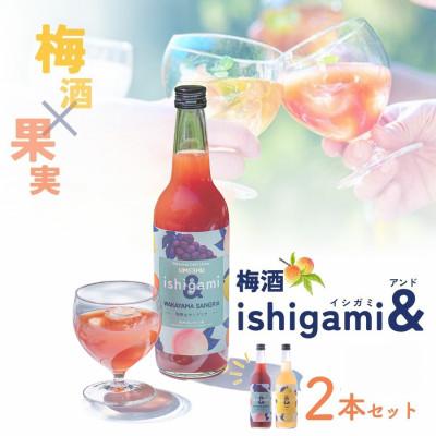 ふるさと納税 田辺市 梅酒ishigami&amp;(イシガミアンド) 和歌山サングリア ゆず[isg038-6]