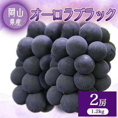 ふるさと納税 早島町 オーロラブラック2房[1.2キロ]