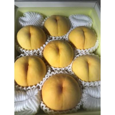 ふるさと納税 美咲町 先行予約[2026年8月上旬より発送予定]岡山県産・マンゴーの様な黄色い桃・黄金桃(2kg箱)