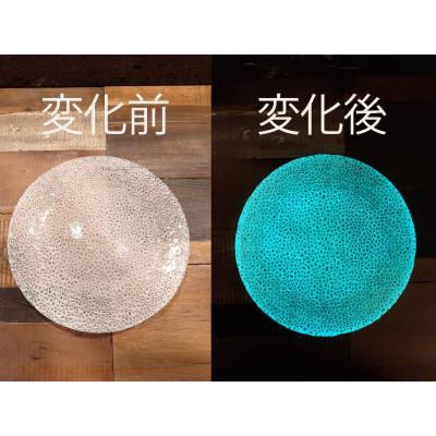 ふるさと納税 多治見市 [暗闇に輝く、卓上の新たな魔法]ルミナスシリーズ プレート (小) グリーン