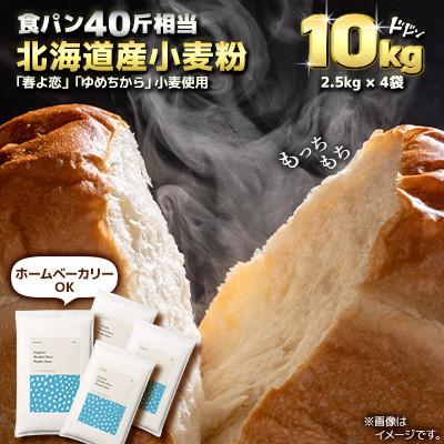 ふるさと納税 室蘭市 北海道産 「春よ恋」「ゆめちから」ブレンド小麦粉 パウダースノー(パン用強力粉)10kg | 