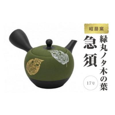 ふるさと納税 常滑市 昭萠窯 17号緑丸ノタ木の葉急須