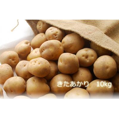 ふるさと納税 江別市 きたあかり10kg[2025年10月より順次発送]