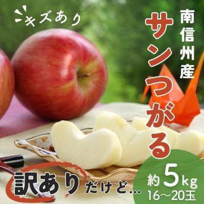 ふるさと納税 豊丘村 訳あり[南信州産]サンつがる 約5kg 16玉〜20玉入り 2026年9月上旬〜順次発送