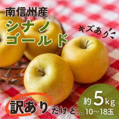 ふるさと納税 豊丘村 訳あり[南信州産]シナノゴールド 約5kg 10玉〜18玉入り 2026年 10月下旬〜順次発送