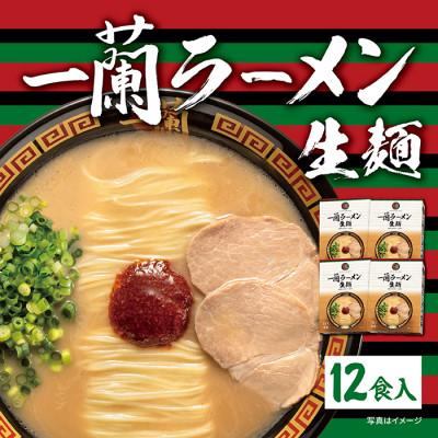 ふるさと納税 太宰府市 一蘭ラーメン生麺セット12食入(豚骨ラーメン)【太宰府市】 | 
