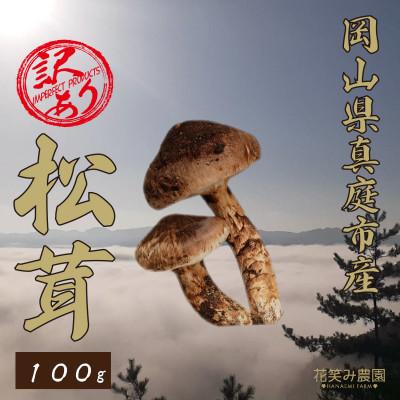 ふるさと納税 真庭市 花笑み農園 岡山県産 訳あり『松茸』100g(1〜4本)