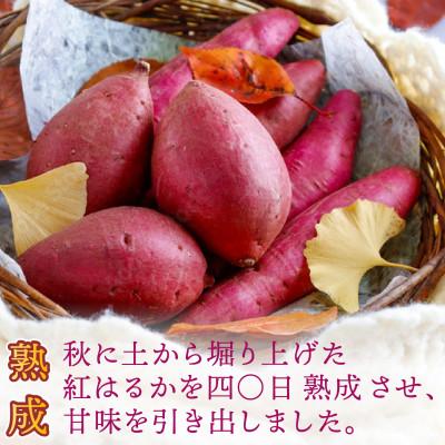 ふるさと納税 鉾田市 茨城県産 干し芋 紅はるか 5kg【みっちゃんの干し
