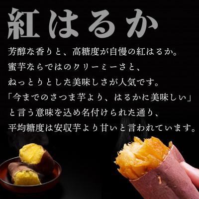 ふるさと納税 鉾田市 茨城県産 干し芋 紅はるか 5kg【みっちゃんの干し