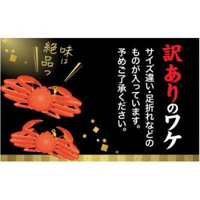 ふるさと納税 福井市 [訳あり]まっ田の越前がに 約1kg 3〜4杯詰め合わせセット[11月〜3月配送]