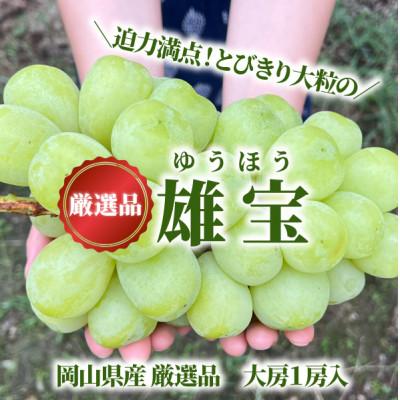 ふるさと納税 津山市 大粒葡萄の「雄宝(ゆうほう)」厳選品 1房/700g〜(岡山県産) | 