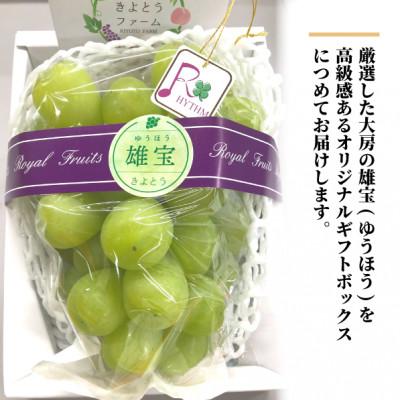 ふるさと納税 津山市 大粒葡萄の「雄宝(ゆうほう)」厳選品 1房/700g〜(岡山県産) |  | 01