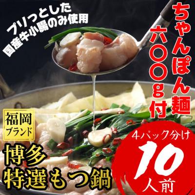 ふるさと納税 朝倉市 「10人前!」博多特選もつ鍋(プリプリの国産牛小腸のみ使用)(4パック小分けが便利)醤油味(朝倉市)