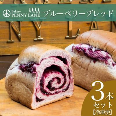 ふるさと納税 つくば市 ペニーレインのブルーベリーブレッド3本セット[離島・沖縄配送不可]