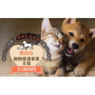ふるさと納税 豊田市 [返礼品なし]豊田市動物愛護事業