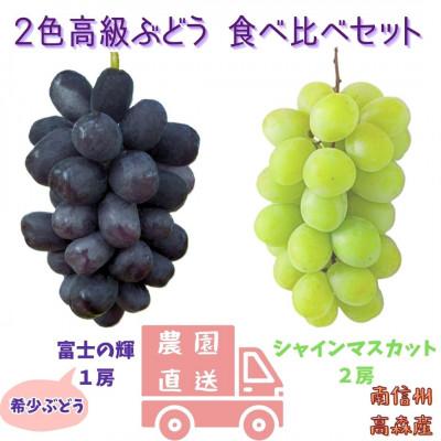 ふるさと納税 高森町 [数量限定]2色高級ぶどう(シャインマスカット2房、富士の輝1房) 計3房食べ比べセット