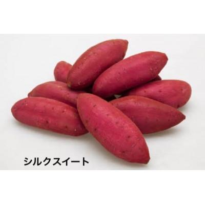 ふるさと納税 大子町 シルクスイート 5kg 県内共通返礼品:行方市