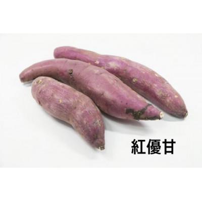 ふるさと納税 大子町 紅優甘 5kg 県内共通返礼品:行方市