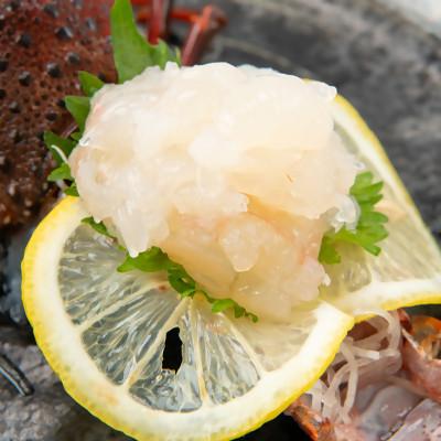ふるさと納税 館山市 【金曜日発送】漁師直送!千葉県館山産 天然『活』伊勢海老　約1kg(サイズおまかせ) |  | 02