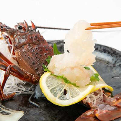 ふるさと納税 館山市 【金曜日発送】漁師直送!千葉県館山産 天然『活』伊勢海老　約1kg(サイズおまかせ) |  | 03